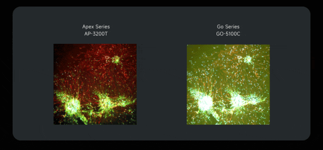 微信公眾號圖片