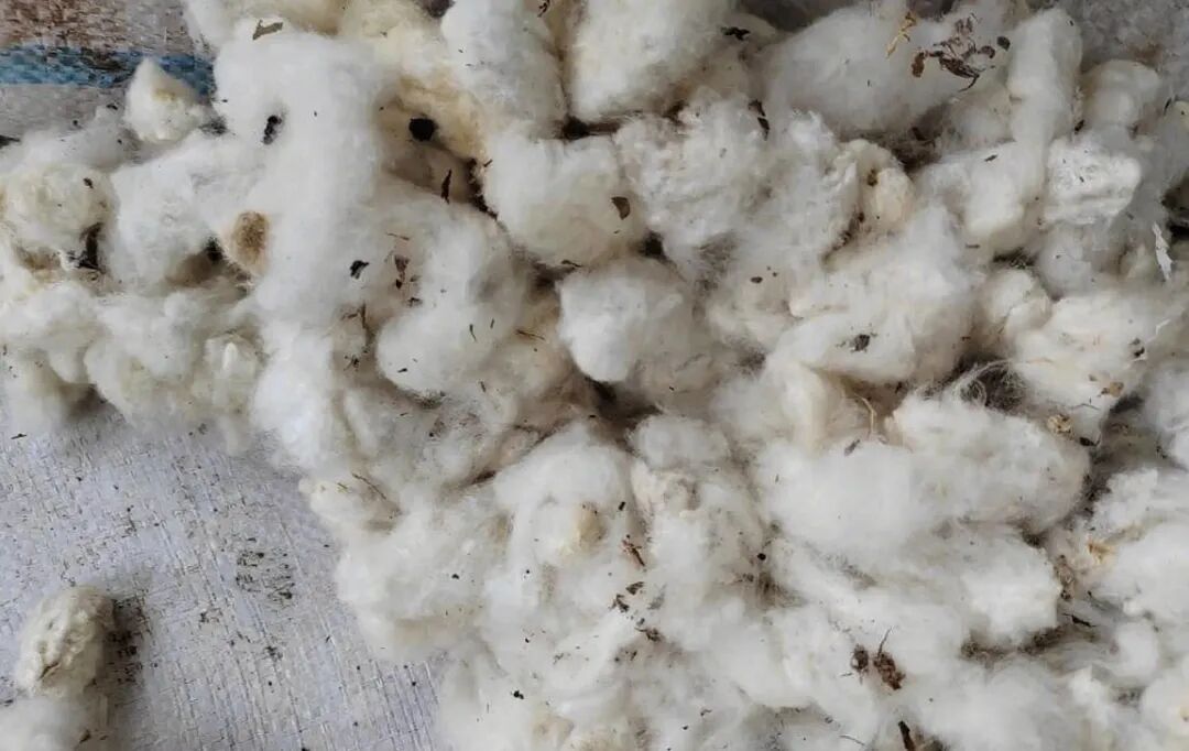 微信公眾號(hào)圖片